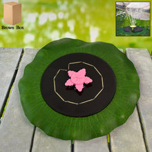 Garden Whirl Solar Fountain Set