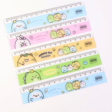 Study Ruler Set