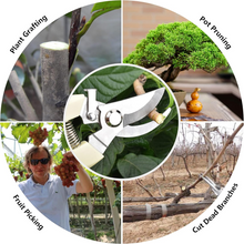 Stainless Steel Garden Scissors, flower cutter